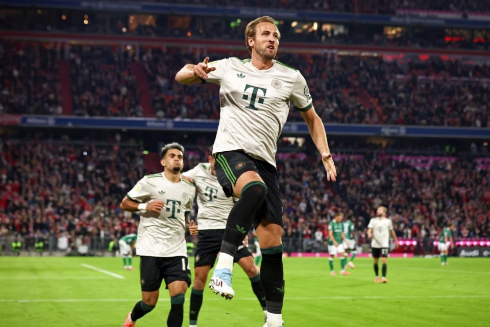 限定新组合 限定新组合