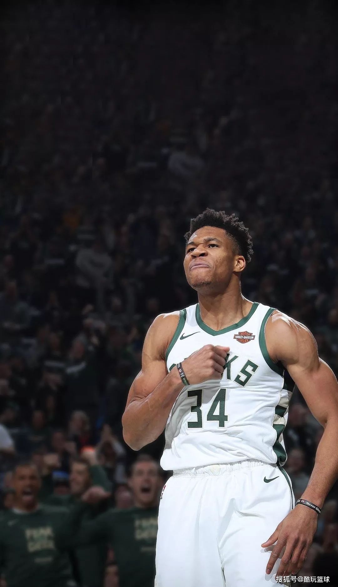 只是比分的 只是比分的