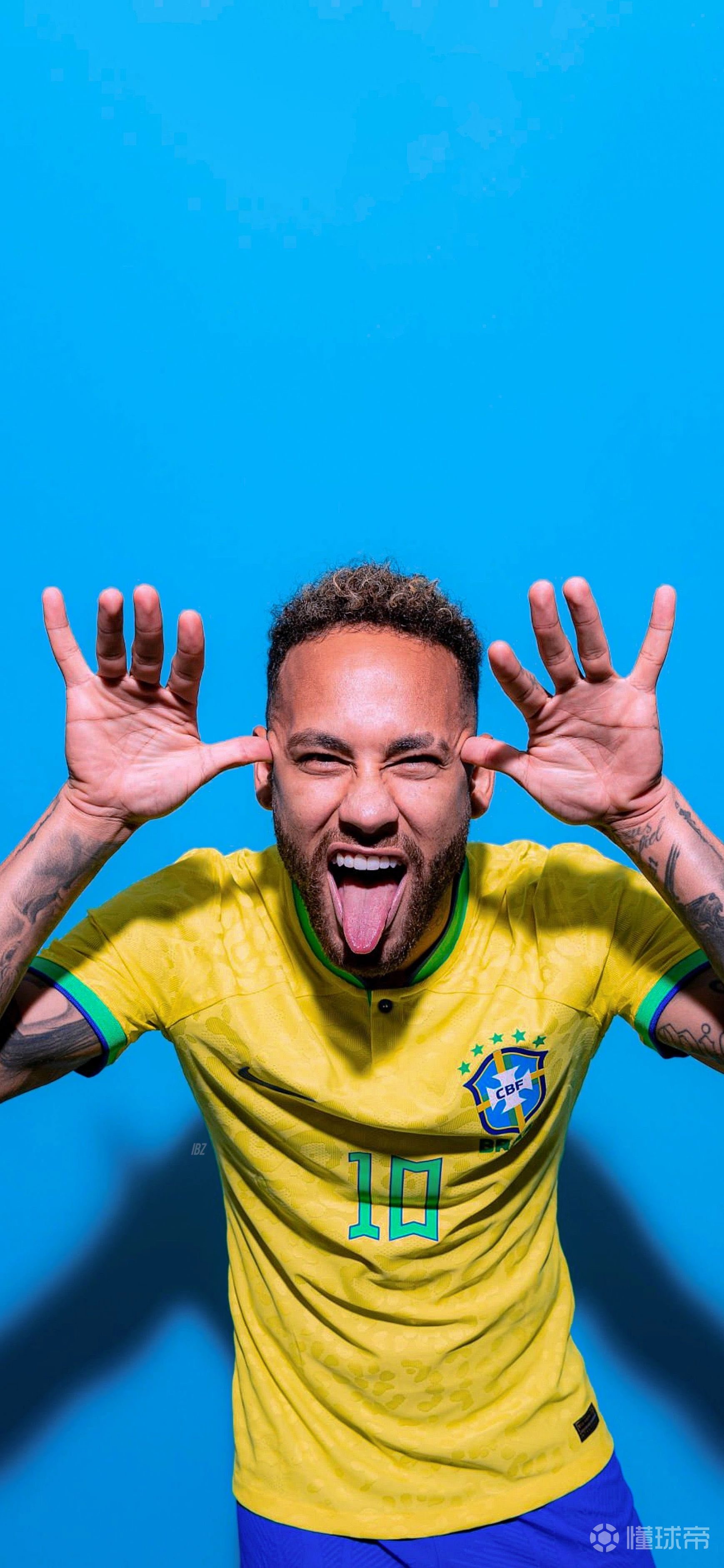 辅以侧翼的 辅以侧翼的